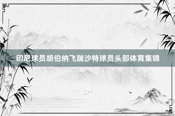 印尼球员胡伯纳飞踹沙特球员头部体育集锦