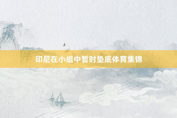 印尼在小组中暂时垫底体育集锦