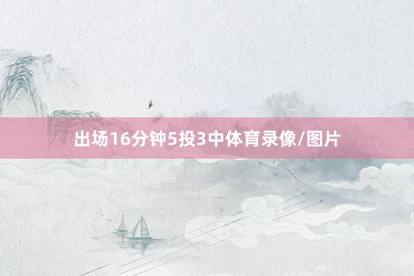 出场16分钟5投3中体育录像/图片