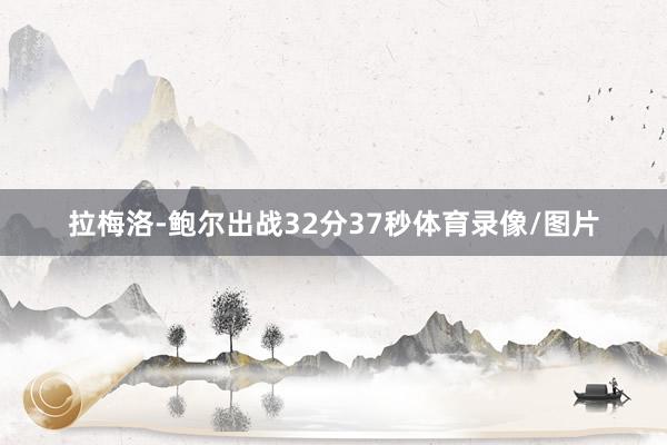 拉梅洛-鲍尔出战32分37秒体育录像/图片