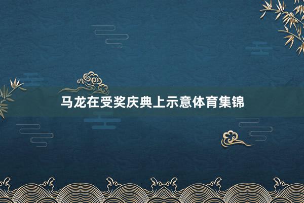 马龙在受奖庆典上示意体育集锦