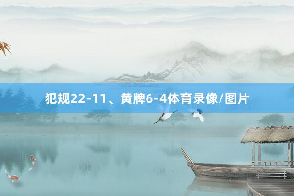 犯规22-11、黄牌6-4体育录像/图片