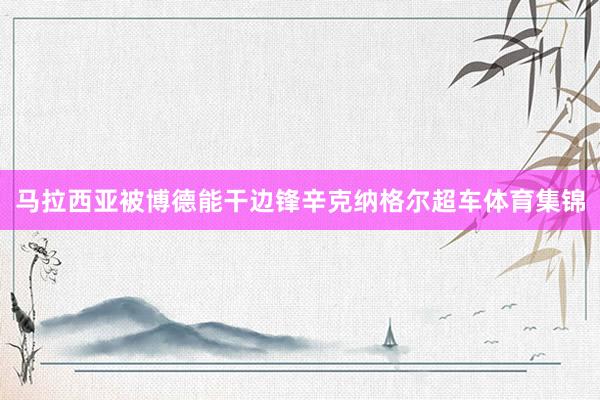 马拉西亚被博德能干边锋辛克纳格尔超车体育集锦