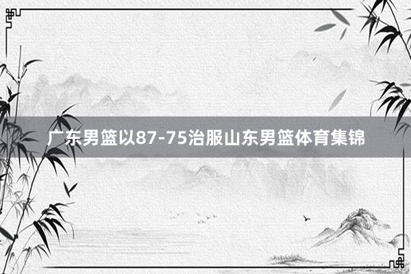 广东男篮以87-75治服山东男篮体育集锦