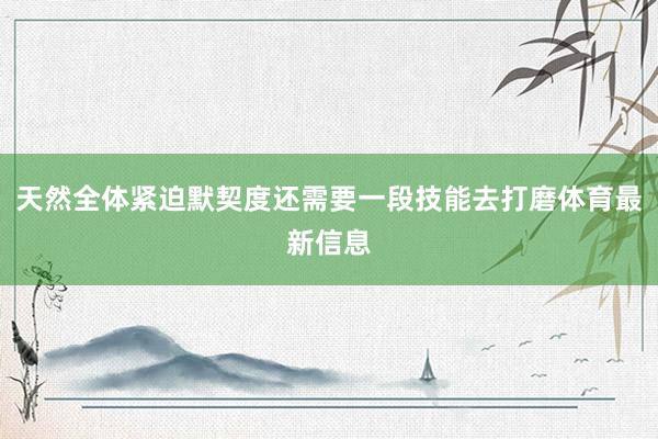 天然全体紧迫默契度还需要一段技能去打磨体育最新信息