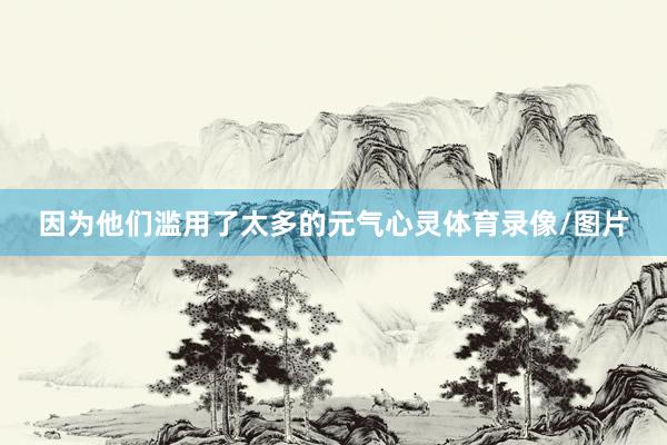 因为他们滥用了太多的元气心灵体育录像/图片