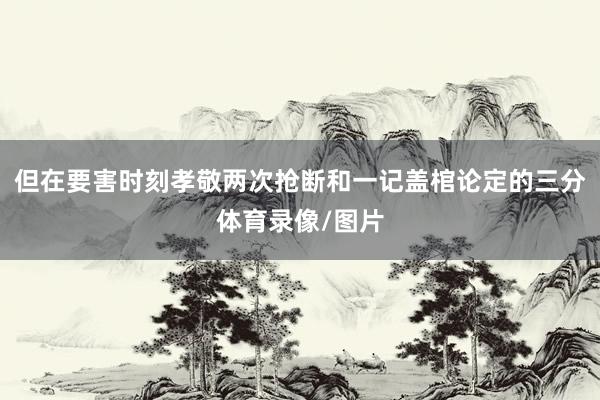 但在要害时刻孝敬两次抢断和一记盖棺论定的三分体育录像/图片