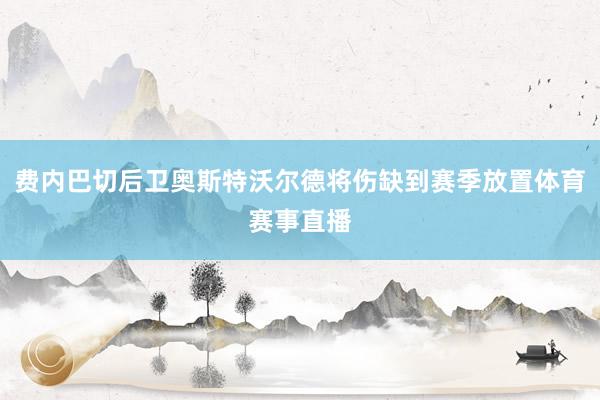 费内巴切后卫奥斯特沃尔德将伤缺到赛季放置体育赛事直播