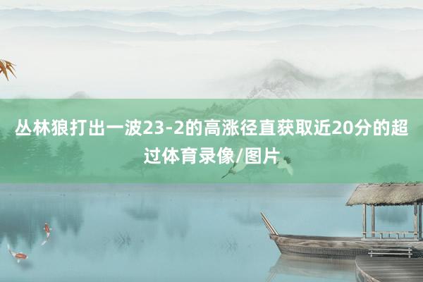 丛林狼打出一波23-2的高涨径直获取近20分的超过体育录像/图片