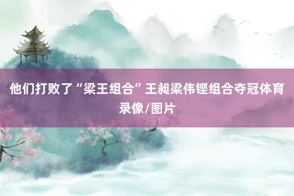 他们打败了“梁王组合”王昶梁伟铿组合夺冠体育录像/图片