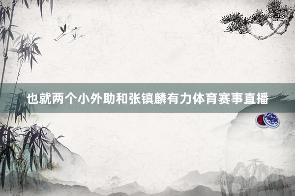 也就两个小外助和张镇麟有力体育赛事直播