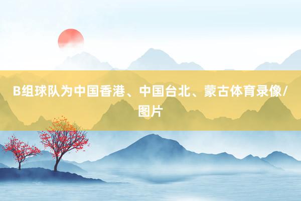 B组球队为中国香港、中国台北、蒙古体育录像/图片