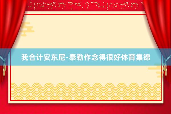 我合计安东尼-泰勒作念得很好体育集锦