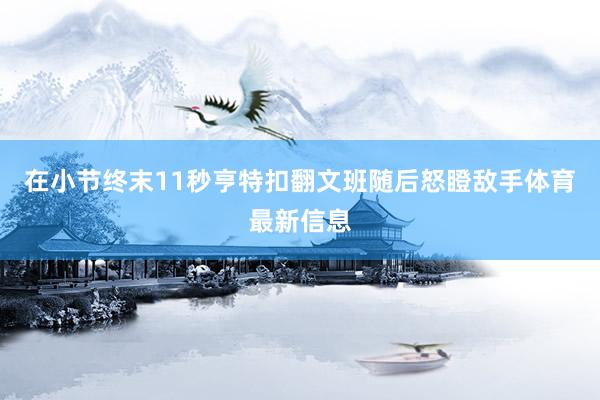 在小节终末11秒亨特扣翻文班随后怒瞪敌手体育最新信息