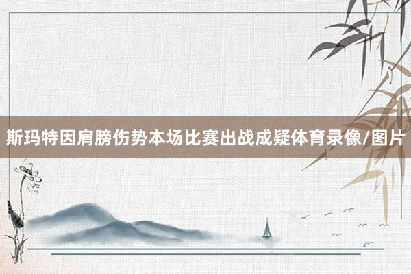 斯玛特因肩膀伤势本场比赛出战成疑体育录像/图片