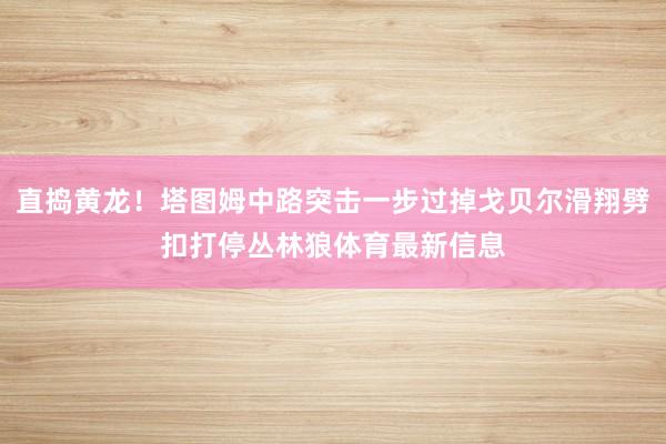 直捣黄龙！塔图姆中路突击一步过掉戈贝尔滑翔劈扣打停丛林狼体育最新信息