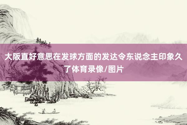 大阪直好意思在发球方面的发达令东说念主印象久了体育录像/图片