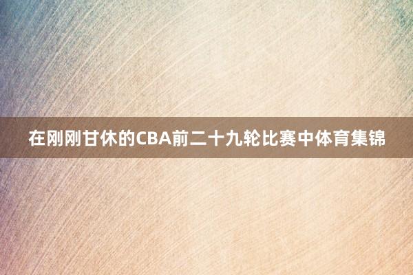 在刚刚甘休的CBA前二十九轮比赛中体育集锦