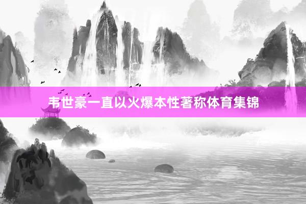 韦世豪一直以火爆本性著称体育集锦