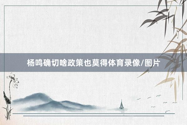 杨鸣确切啥政策也莫得体育录像/图片