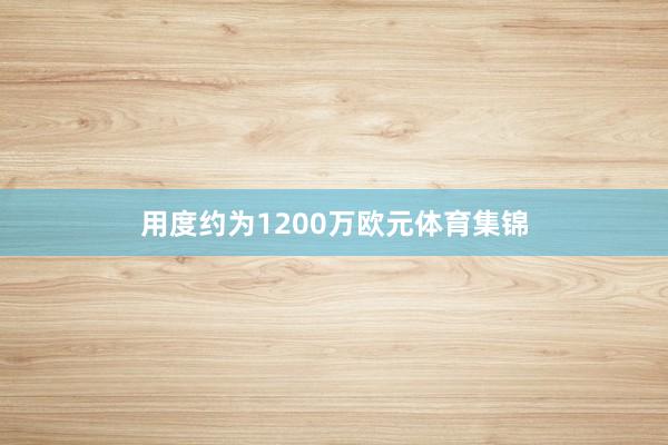 用度约为1200万欧元体育集锦