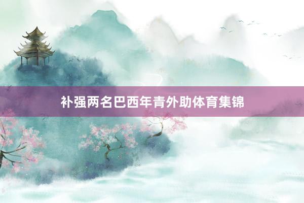 补强两名巴西年青外助体育集锦