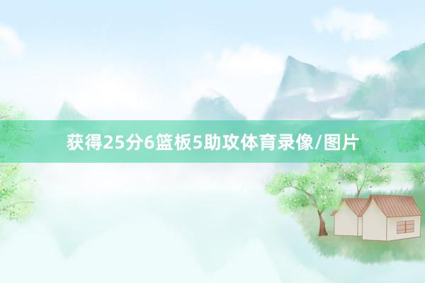 获得25分6篮板5助攻体育录像/图片