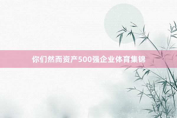 你们然而资产500强企业体育集锦