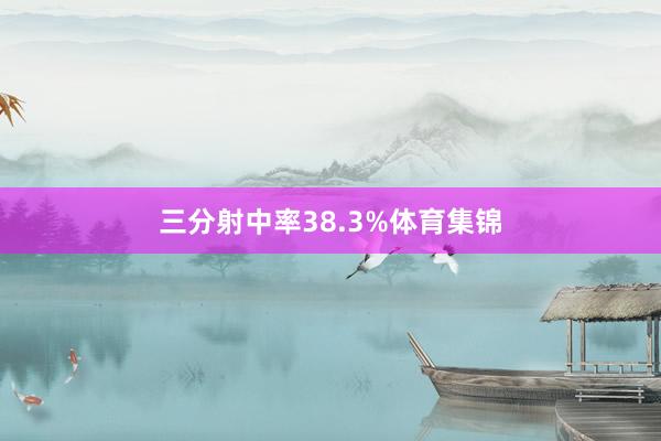 三分射中率38.3%体育集锦