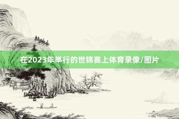 在2023年举行的世锦赛上体育录像/图片
