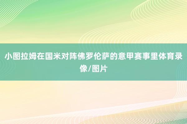小图拉姆在国米对阵佛罗伦萨的意甲赛事里体育录像/图片