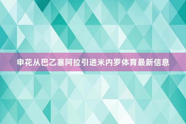 申花从巴乙塞阿拉引进米内罗体育最新信息