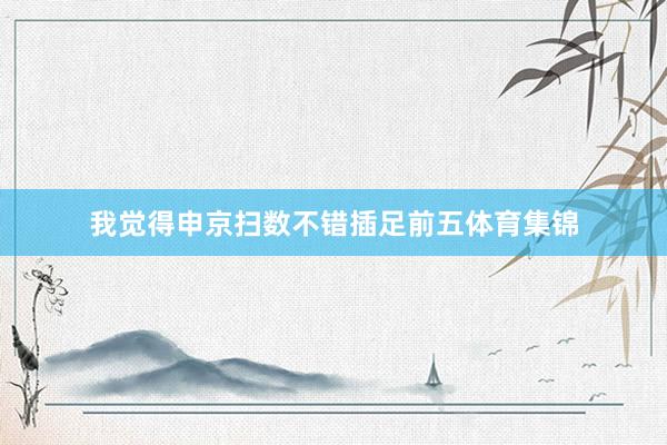我觉得申京扫数不错插足前五体育集锦