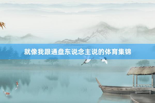 就像我跟通盘东说念主说的体育集锦