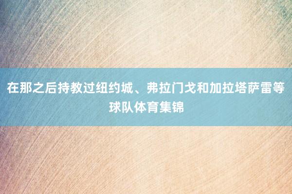 在那之后持教过纽约城、弗拉门戈和加拉塔萨雷等球队体育集锦
