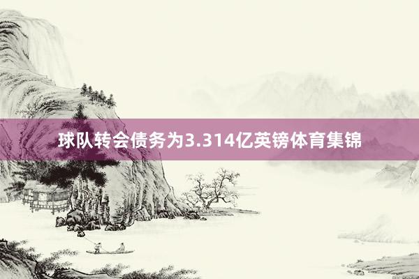 球队转会债务为3.314亿英镑体育集锦