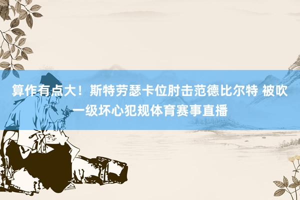 算作有点大！斯特劳瑟卡位肘击范德比尔特 被吹一级坏心犯规体育赛事直播
