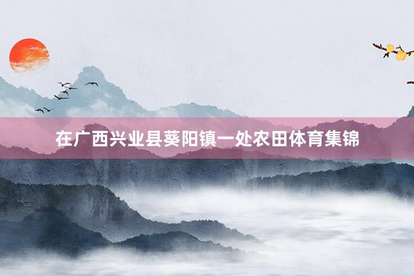 在广西兴业县葵阳镇一处农田体育集锦