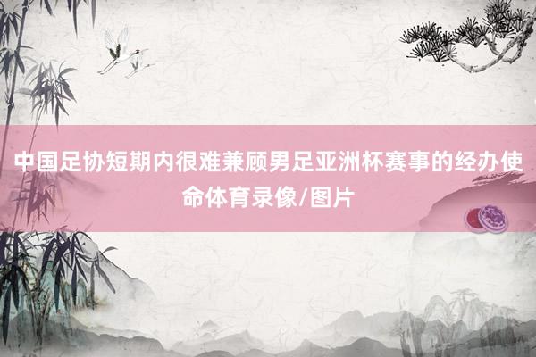 中国足协短期内很难兼顾男足亚洲杯赛事的经办使命体育录像/图片
