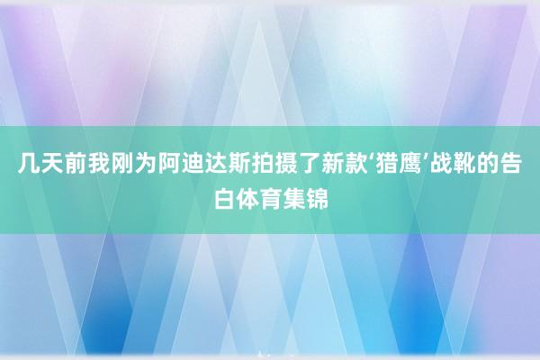 几天前我刚为阿迪达斯拍摄了新款‘猎鹰’战靴的告白体育集锦
