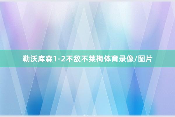 勒沃库森1-2不敌不莱梅体育录像/图片