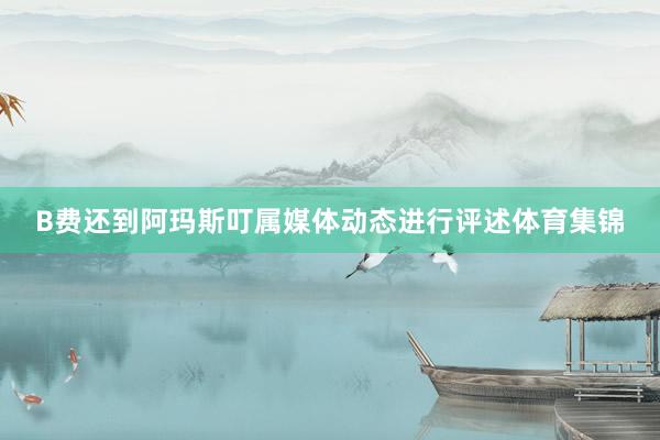 B费还到阿玛斯叮属媒体动态进行评述体育集锦
