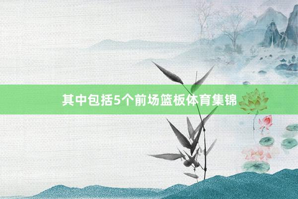 其中包括5个前场篮板体育集锦