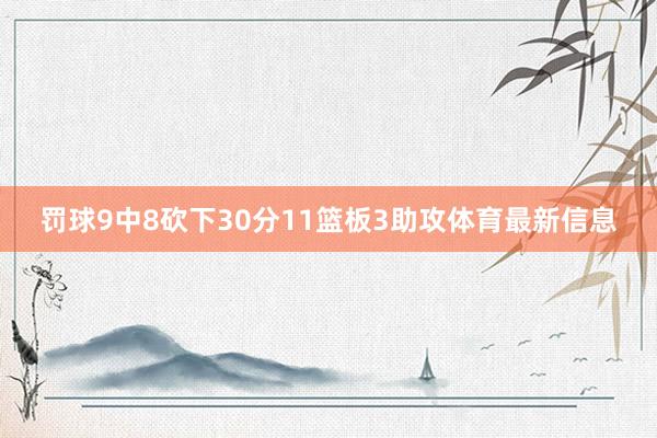 罚球9中8砍下30分11篮板3助攻体育最新信息