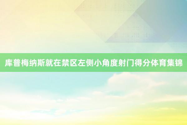 库普梅纳斯就在禁区左侧小角度射门得分体育集锦