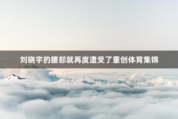 刘晓宇的腰部就再度遭受了重创体育集锦