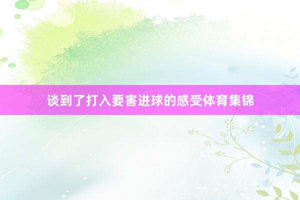 谈到了打入要害进球的感受体育集锦