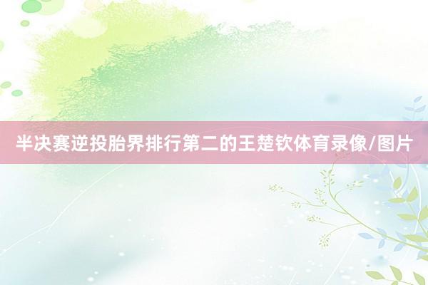 半决赛逆投胎界排行第二的王楚钦体育录像/图片