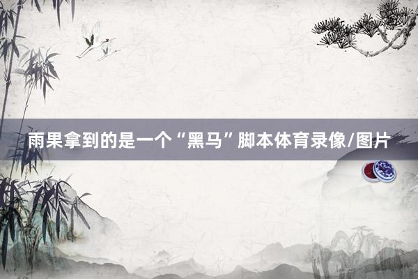雨果拿到的是一个“黑马”脚本体育录像/图片