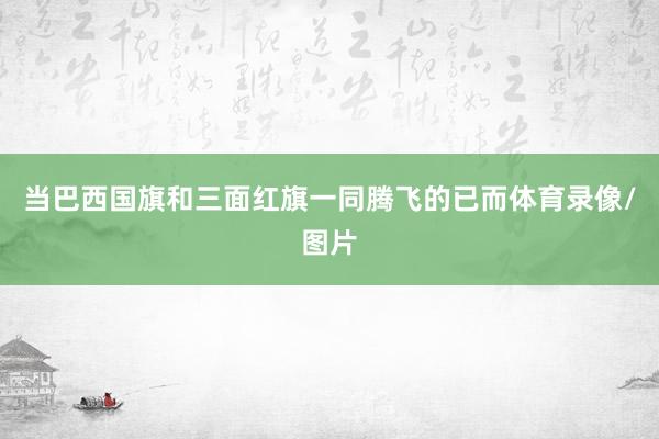 当巴西国旗和三面红旗一同腾飞的已而体育录像/图片